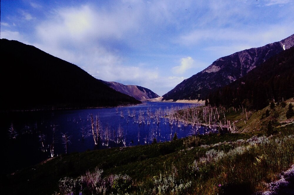 A deep blue lake filled with submerged tree trunks is surrounded by green hills and mountains under a partly cloudy sky. Wildflowers and grasses grow in the foreground.