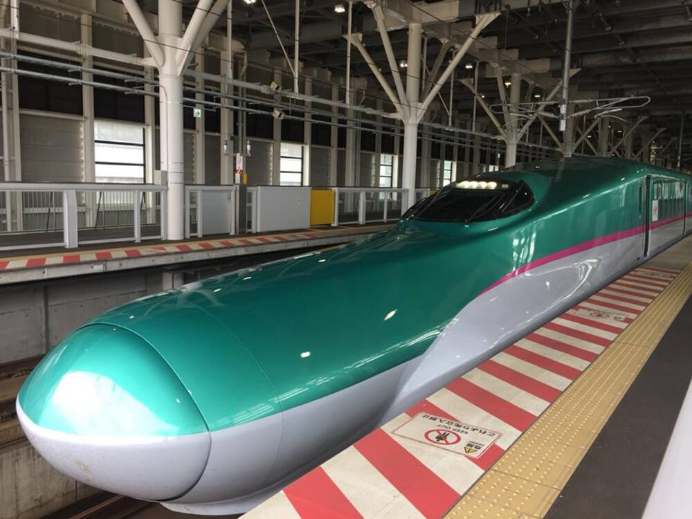 A modern green and silver bullet train is parked at an indoor station platform, under a roof with white columns and exposed beams.
