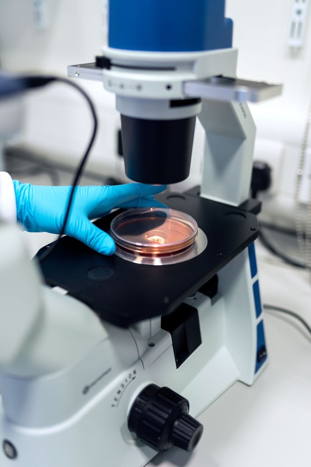 A gloved hand places a petri dish under a microscope in a laboratory setting, preparing a sample for observation and analysis.