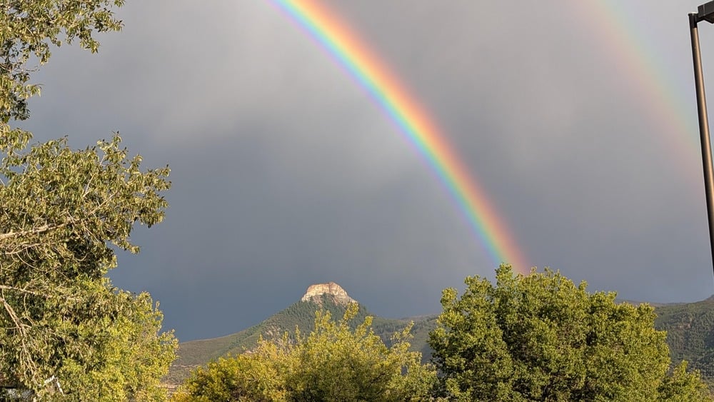 A vivid rainbow arcs over a wooded hill.