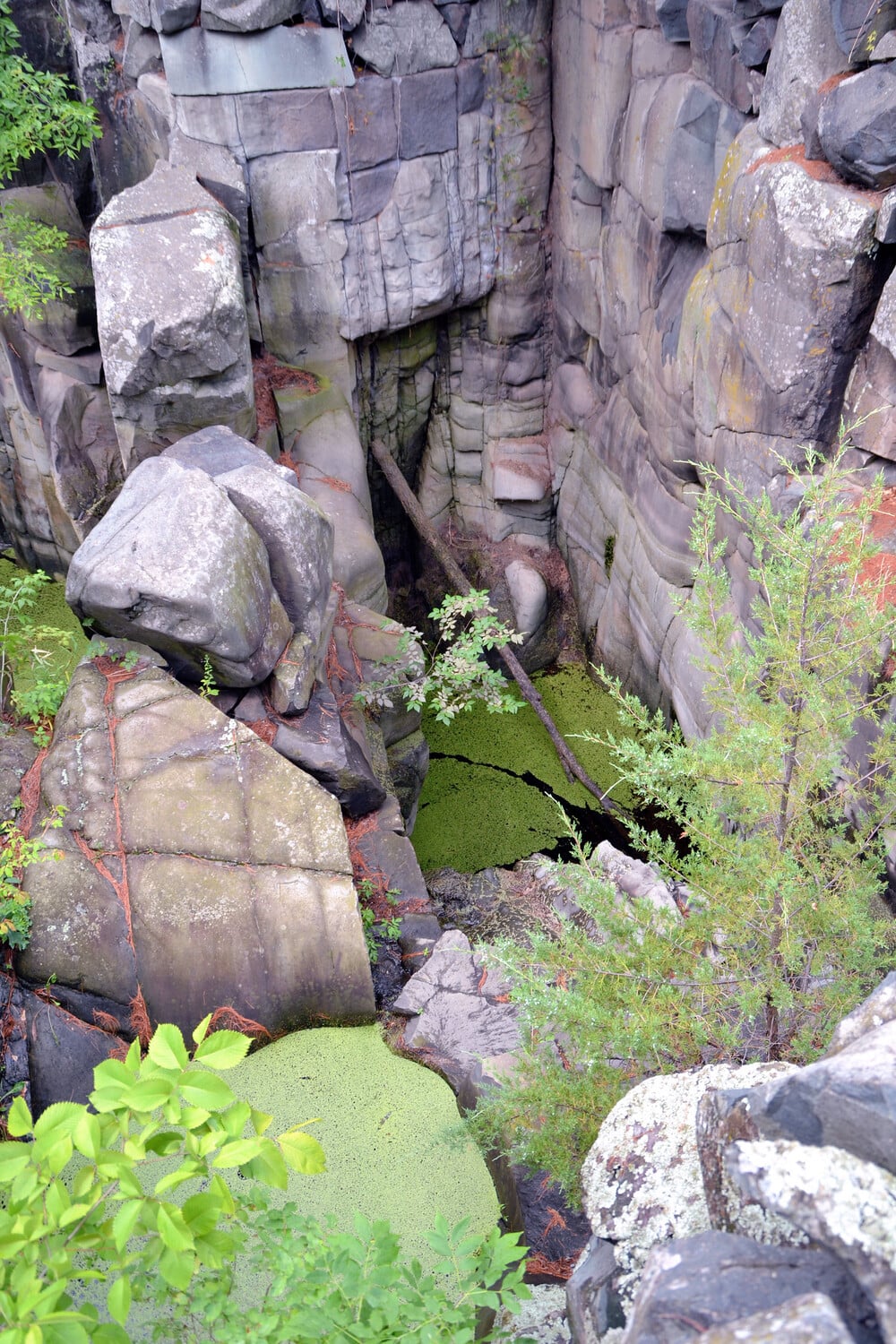 Large stone cliffs surround a narrow, deep crevice filled with green algae on stagnant water, with scattered rocks and some small trees and plants growing among the stones.