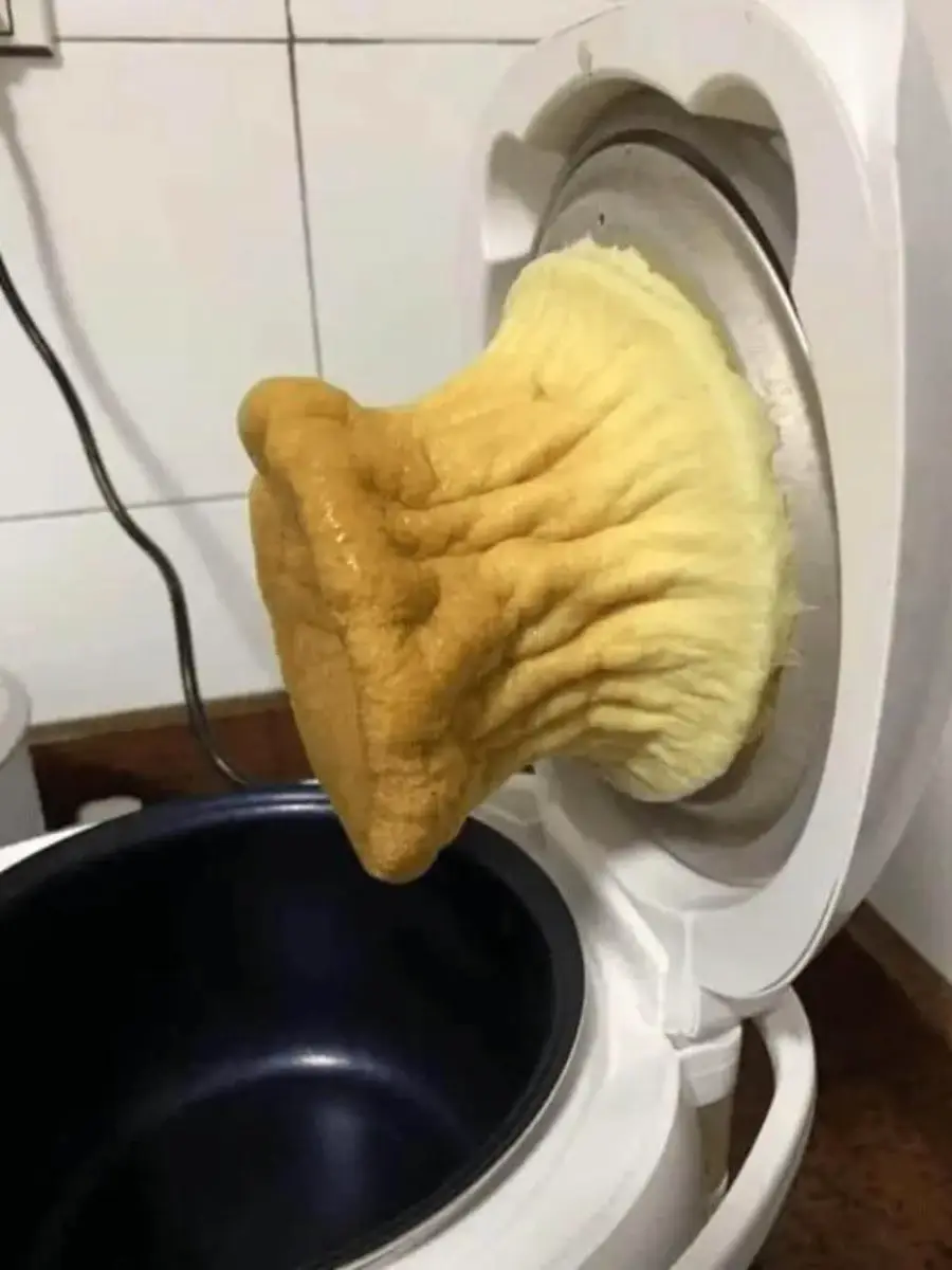 Bread dough has overflowed and risen out of a rice cooker, creating a mushroom-like shape spilling over the edges of the open lid in a kitchen setting.