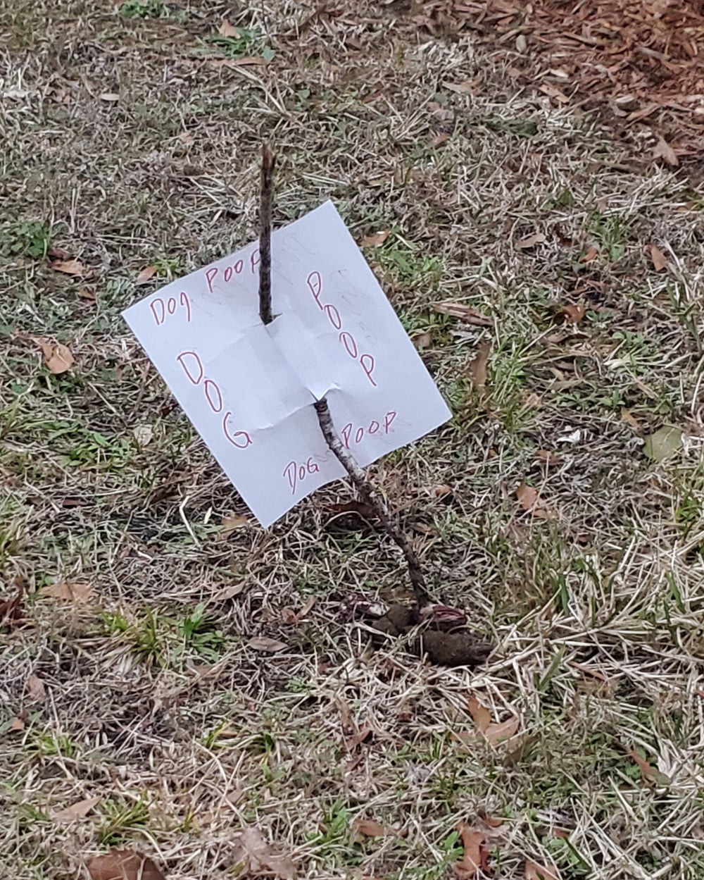 A handwritten sign reading “Dog Poop” is attached to a stick in the ground next to dog feces on dried grass.