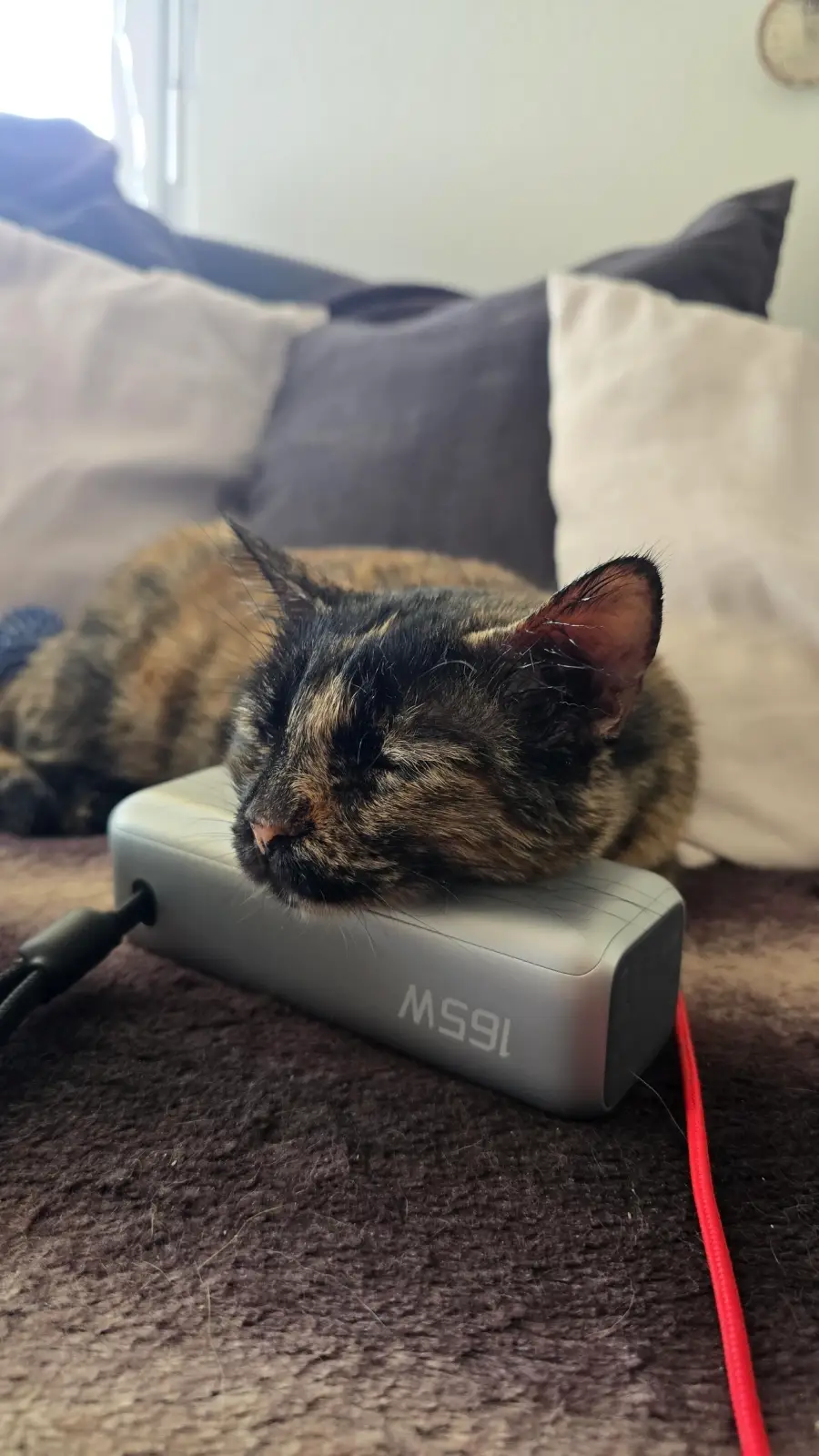 A tortoiseshell cat is resting its head on a gray portable speaker, lying on a bed with pillows in the background.