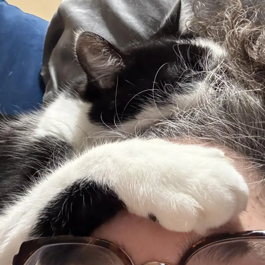 A black and white cat lies on a person’s head, covering part of their face with its paw. The person is wearing glasses.
