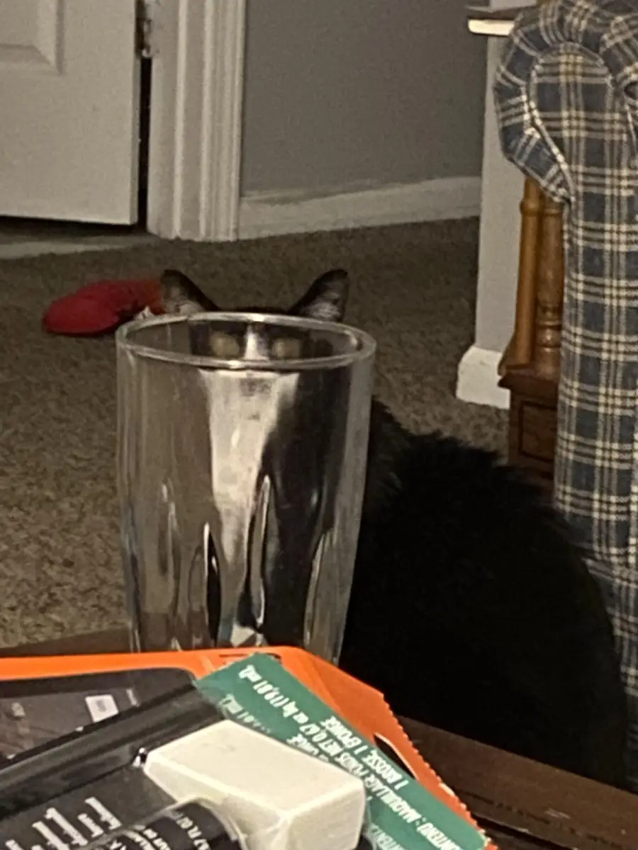 A black cat sits behind a tall glass, making its face look distorted. Only the cat’s ears and eyes are visible through the glass. Nearby, books and papers are scattered on a table.