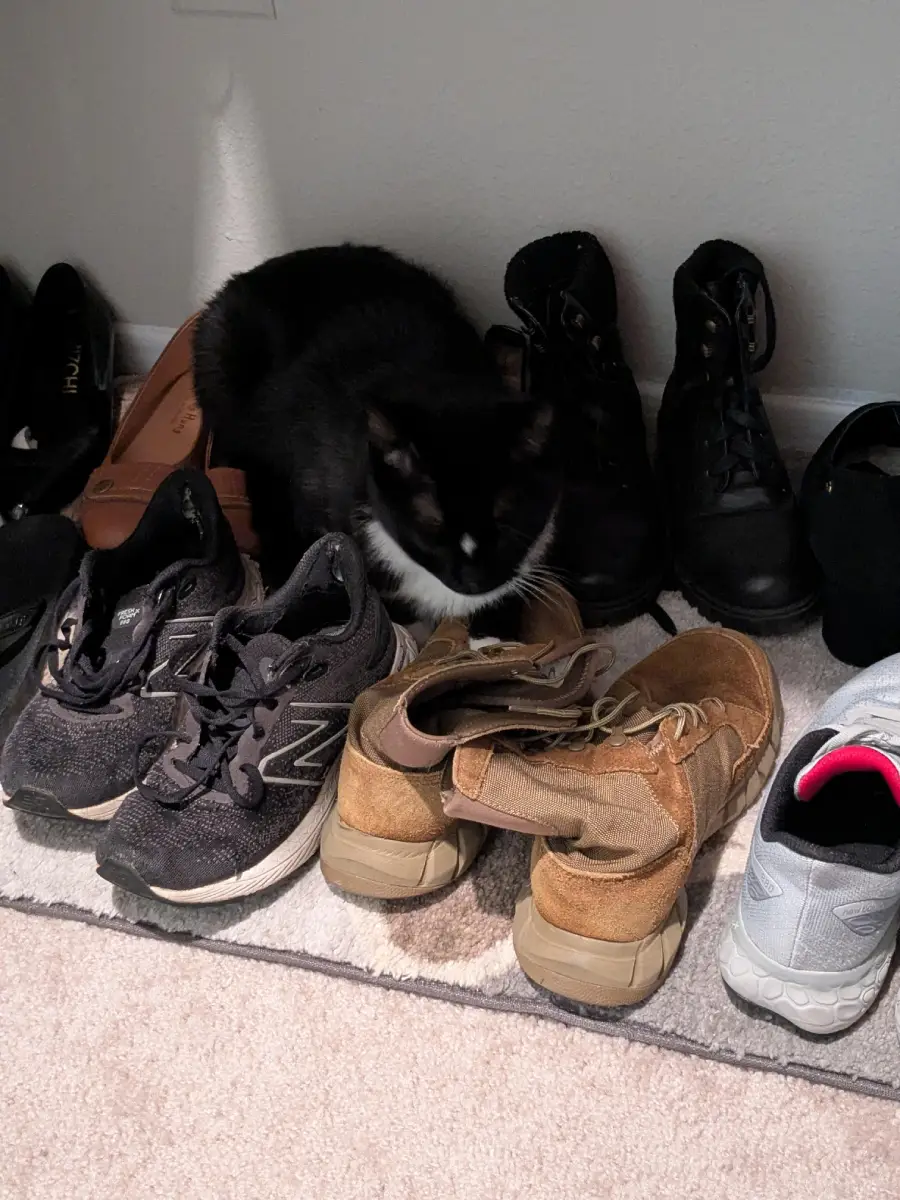 A black and white cat sits among several pairs of shoes on a carpet by a wall, partially blending in with the footwear.