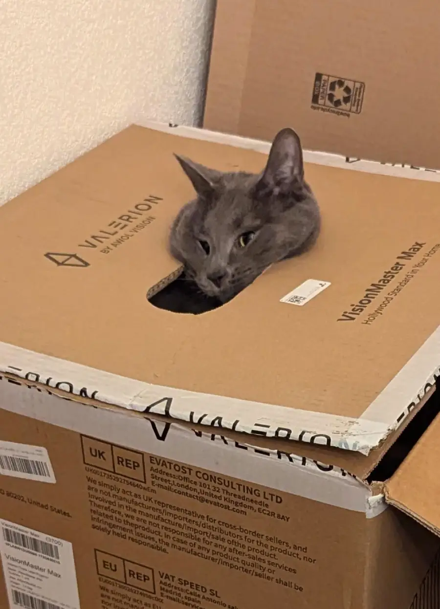 A gray cat is peeking its head out of a hole in the top of a cardboard box, appearing relaxed and curious. The box is among other stacked boxes in a room.