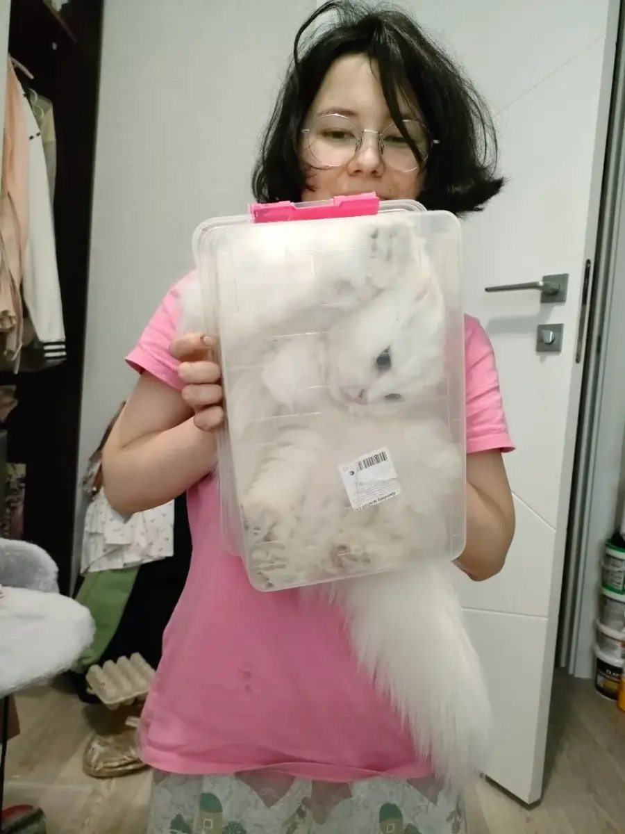 A person in glasses and a pink shirt holds a clear plastic container with a white cat curled up inside. The scene is indoors, and some clothing and household items are visible in the background.