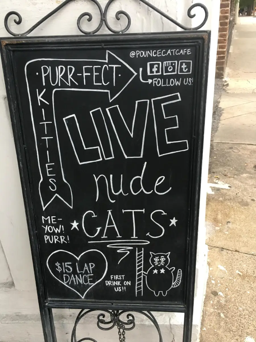 Chalkboard sign advertises “LIVE nude CATS” at a cat cafe, featuring drawings of a cat, paw print, and social media icons. Offers $15 lap dance and first drink free. Sidewalk and street are visible.