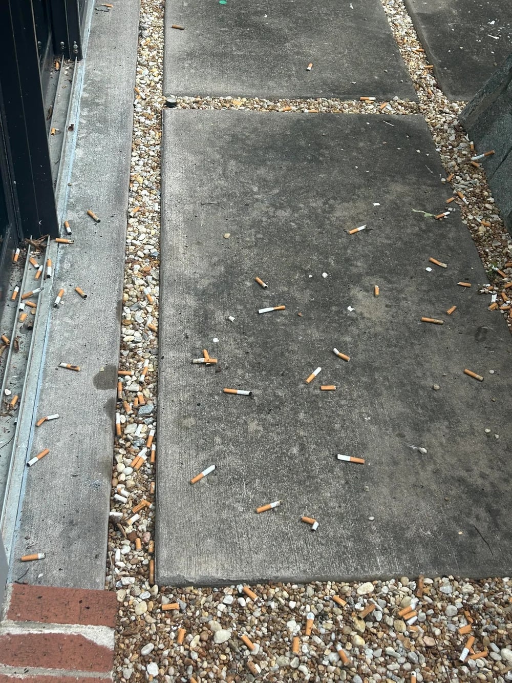 Concrete walkway with scattered cigarette butts and pebbles alongside a metal fence. The area appears littered with numerous used cigarette filters on both the path and gravel.