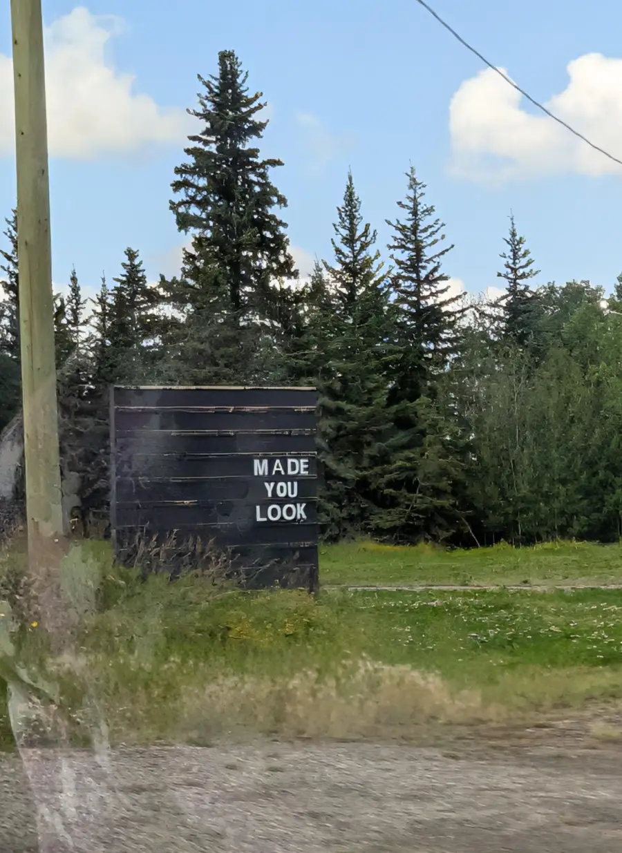 A black outdoor sign in a grassy area by pine trees reads “MADE YOU LOOK” in white letters.