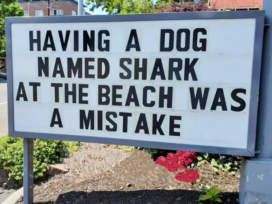 A sign reads, “Having a dog named Shark at the beach was a mistake,” surrounded by greenery and red flowers.