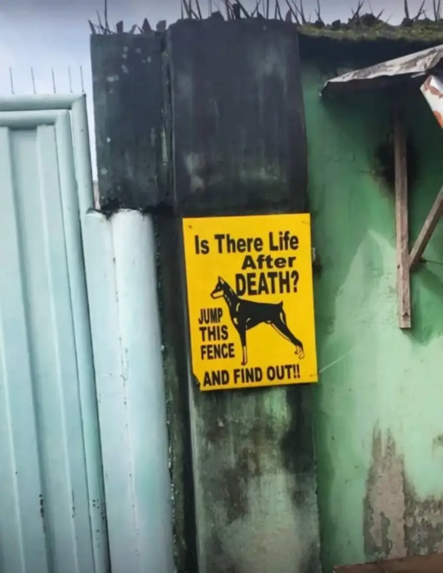 A yellow sign on a fence reads, “Is there life after death? Jump this fence and find out!!” with an image of a dog. The fence has spikes on top.