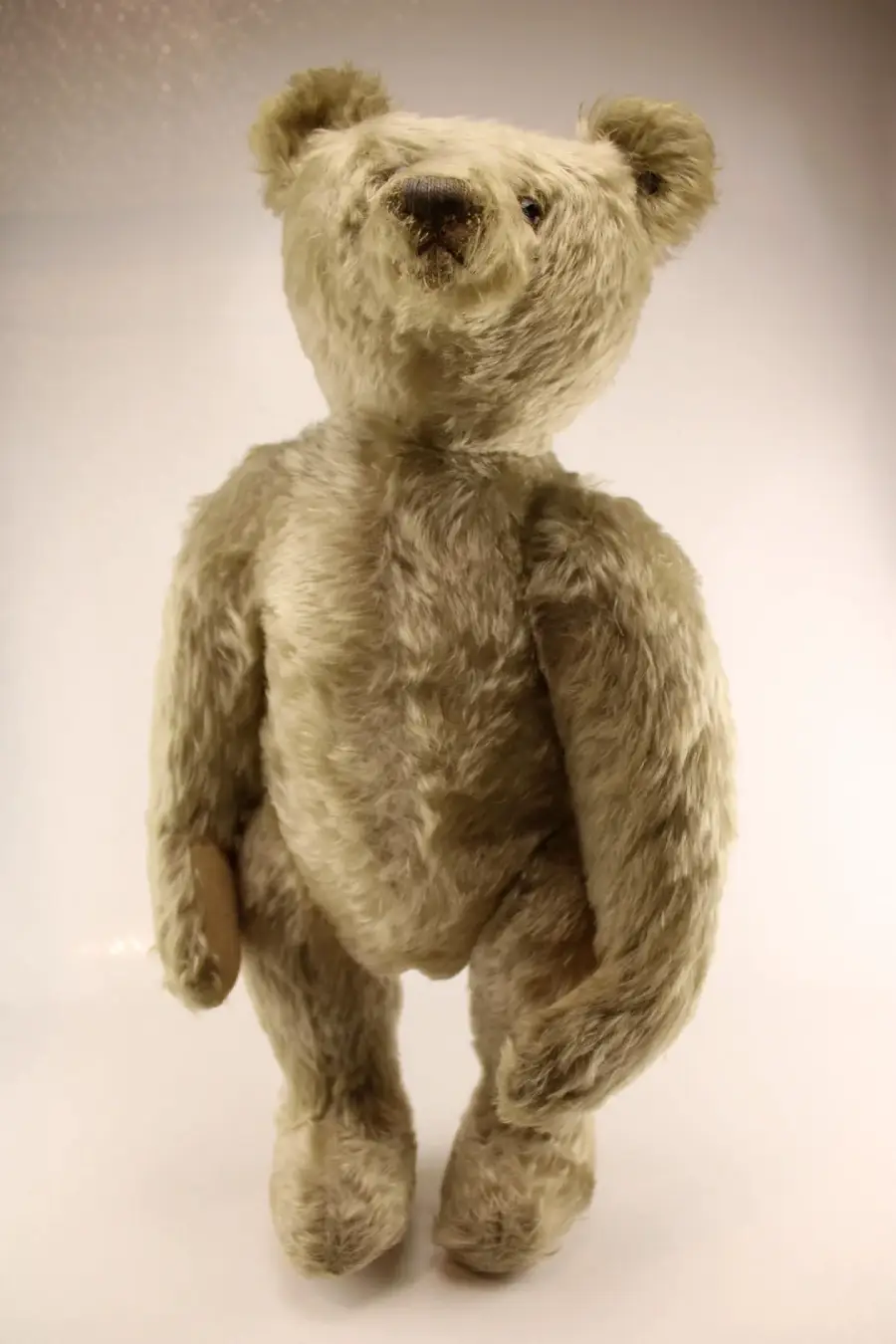 A vintage, light brown teddy bear with jointed limbs stands upright against a plain white background. The bear has a slightly worn, fuzzy texture and a stitched nose and mouth.
