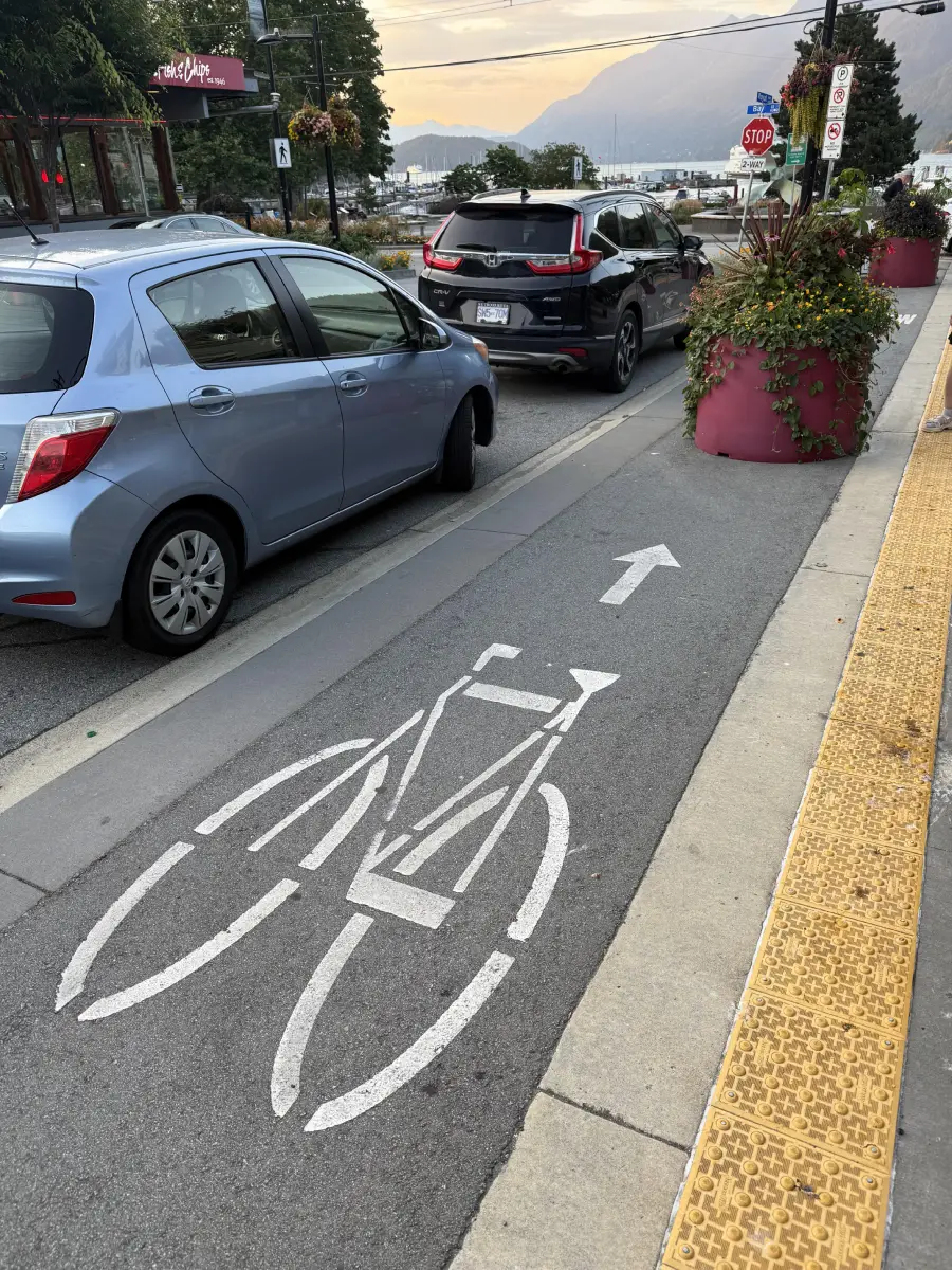 A bike lane with a white bicycle symbol runs alongside parked cars and large pink planters on a city street. A tactile yellow strip lines the sidewalk, and mountains are visible in the background.