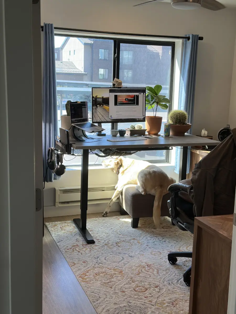 A home office with a computer on a standing desk, plants on the windowsill, and a dog lounging on a small ottoman in front of a sunny window.