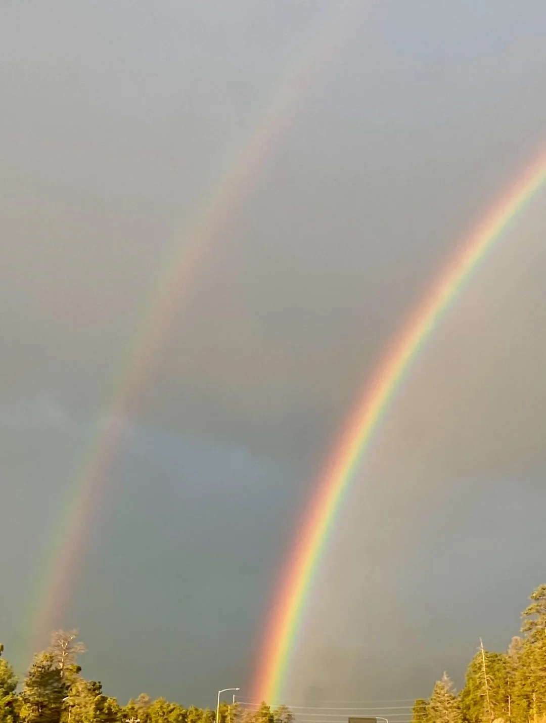 A double rainbow appears in a cloudy sky above treetops, with both rainbows displaying vibrant colors and the inner one being brighter than the outer one.