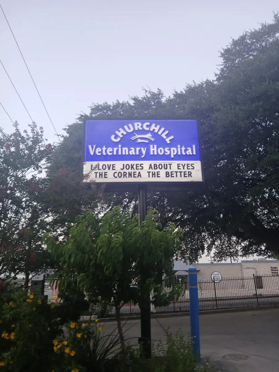 A veterinary hospital sign reads: “LOVE JOKES ABOUT EYES THE CORNEA THE BETTER” with trees and a fence visible in the background.