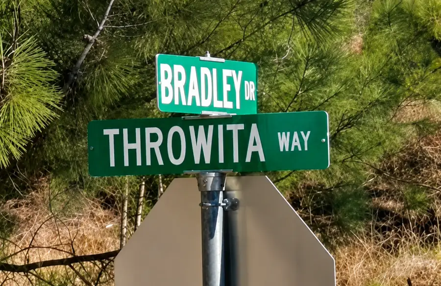 Two green street signs at an intersection read “Bradley Dr” and “Throwita Way,” with trees and dry grass in the background.