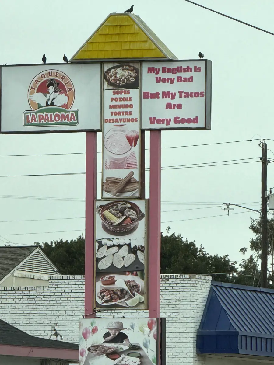 A restaurant sign reads, “My English is very bad, but my tacos are very good,” with food photos and the name “La Paloma.” Three birds sit on top of the sign, and power lines are visible in the background.