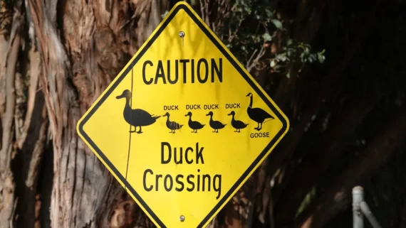 funny-signs-people-happened-to-photograph