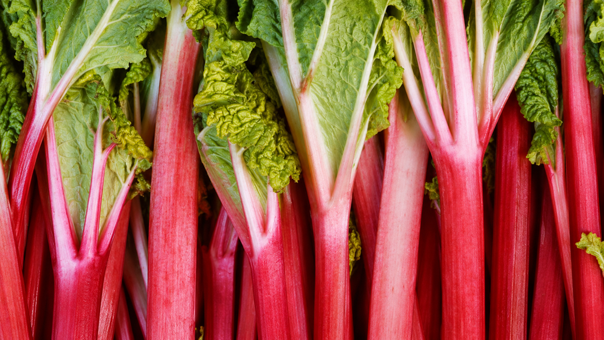 A close-up of fresh rhubarb stalks with vibrant red stems and leafy green tops, arranged vertically and filling the frame.