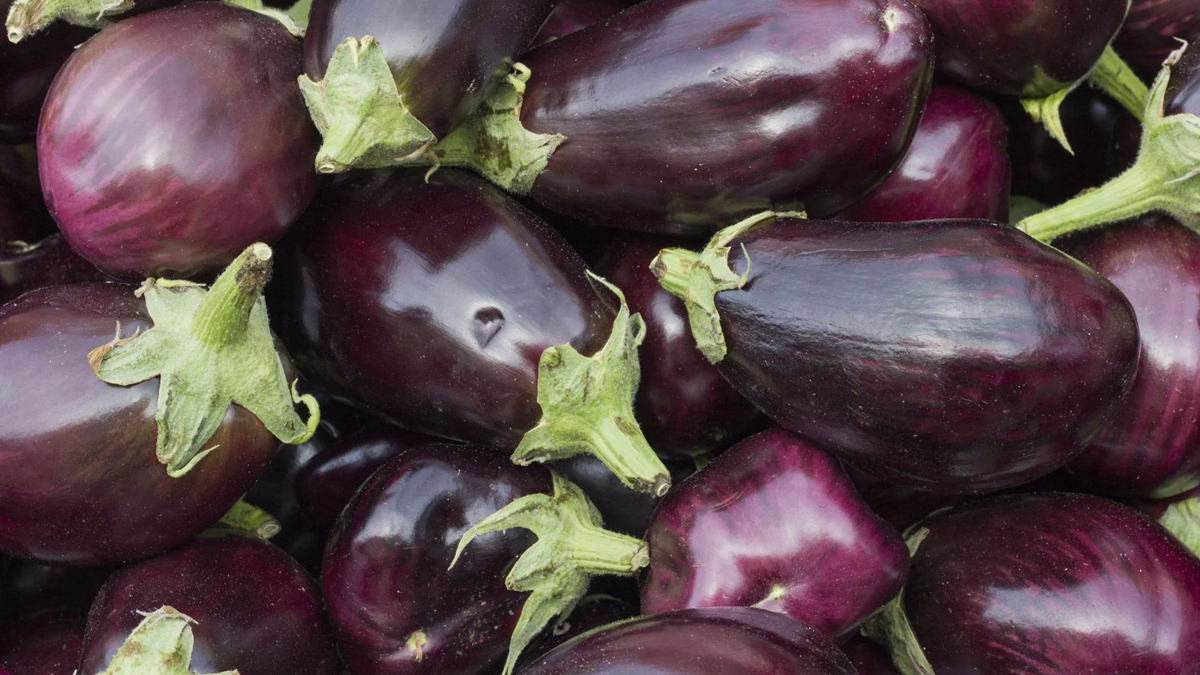 A close-up view of several fresh, glossy purple eggplants with green stems, piled together.