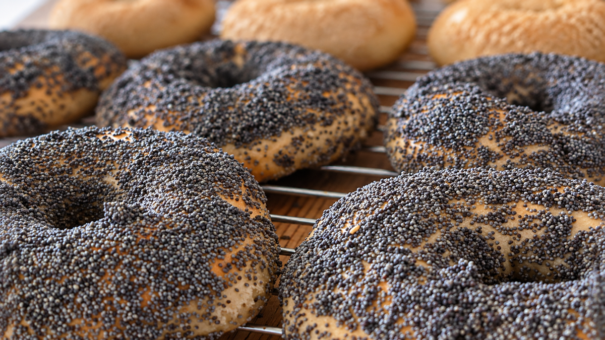 Several poppy seed bagels and plain bagels cooling on a metal rack. The foreground shows bagels covered in poppy seeds, while the background displays plain bagels without seeds.
