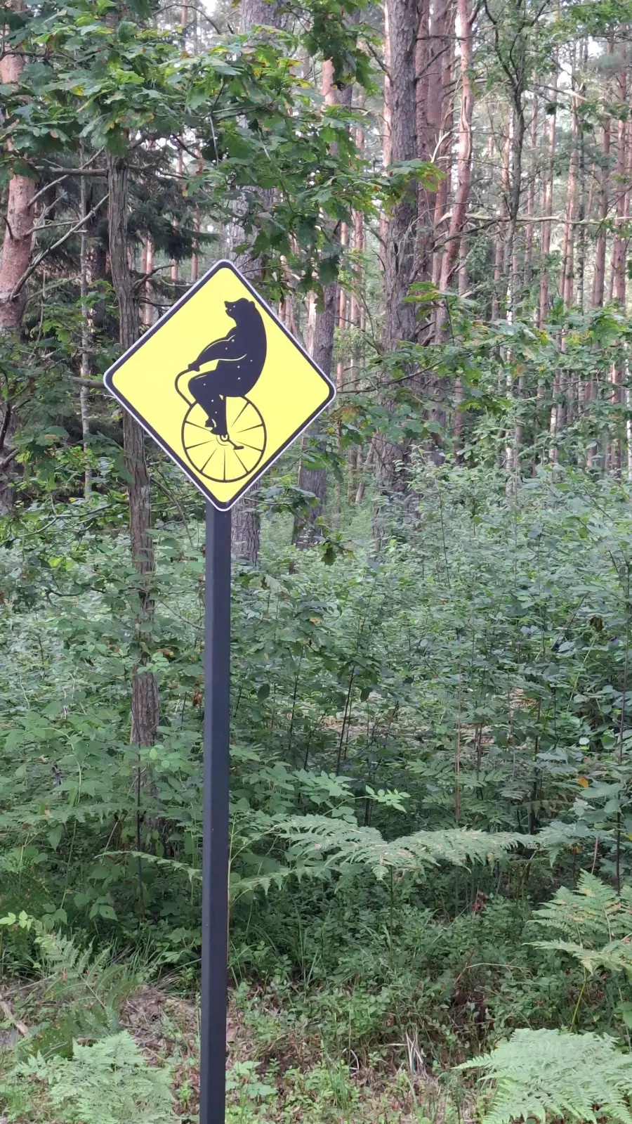 A yellow road sign in a forest shows a silhouette of a bear riding a unicycle, warning or amusing passersby. Tall trees and green bushes surround the sign.