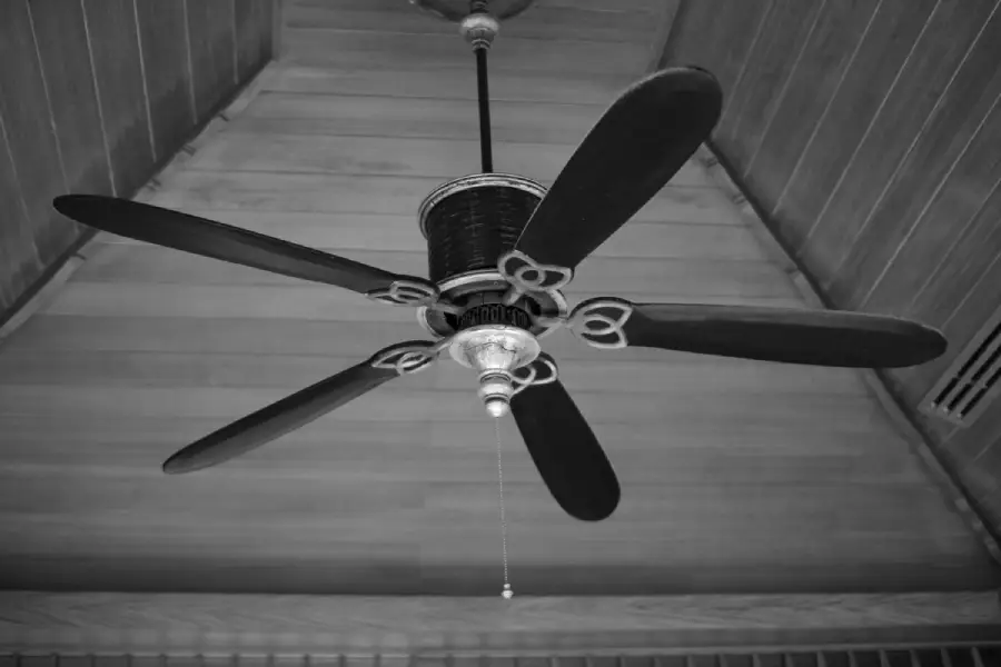 Black and white photo of a five-blade ceiling fan with a pull chain, mounted on a wooden, vaulted ceiling.