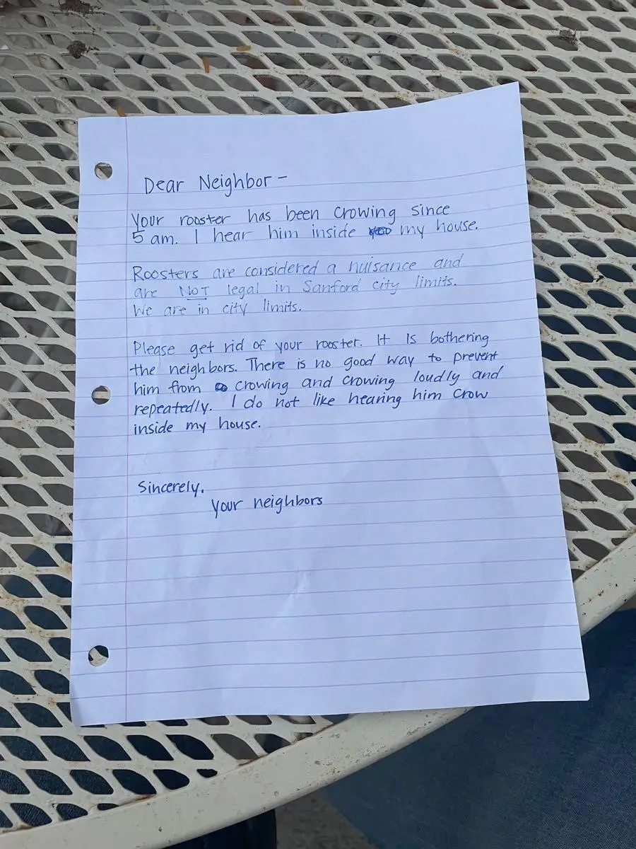 A handwritten letter on lined paper addresses a neighbor about a rooster crowing early and loudly, requesting its removal. The letter is on a metal outdoor table.