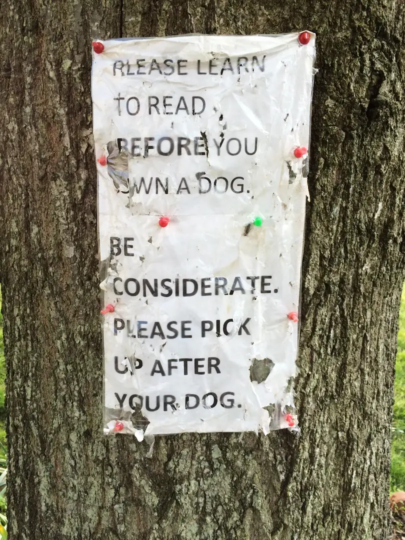 A weathered sign on a tree reads: “Please learn to read before you own a dog. Be considerate. Please pick up after your dog.”