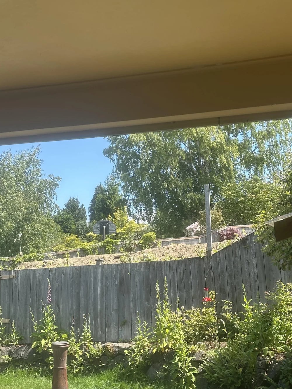 View from under a porch roof showing a wooden fence, lush green trees, plants, and a clear blue sky on a sunny day.