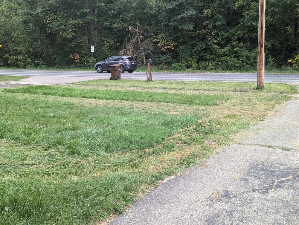 A car drives past a grassy lawn and a trash bin near a road, bordered by trees. The lawn has unevenly cut grass, and a cracked pavement is in the foreground.