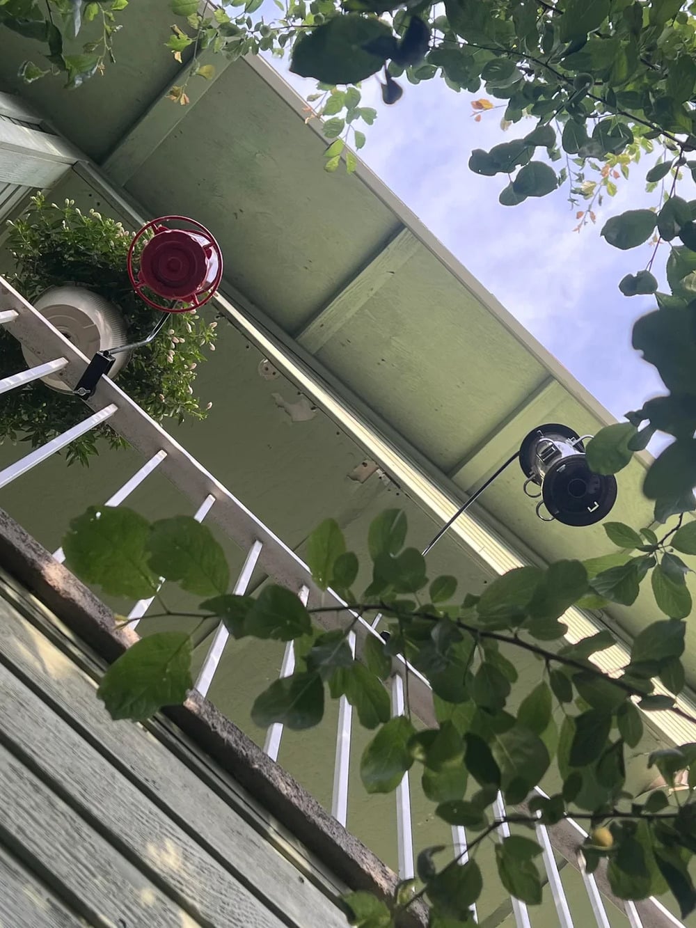 View from below of a house balcony, showing white railings, green plants, a red feeder, and a black lantern, framed by leafy branches against a partly cloudy sky.
