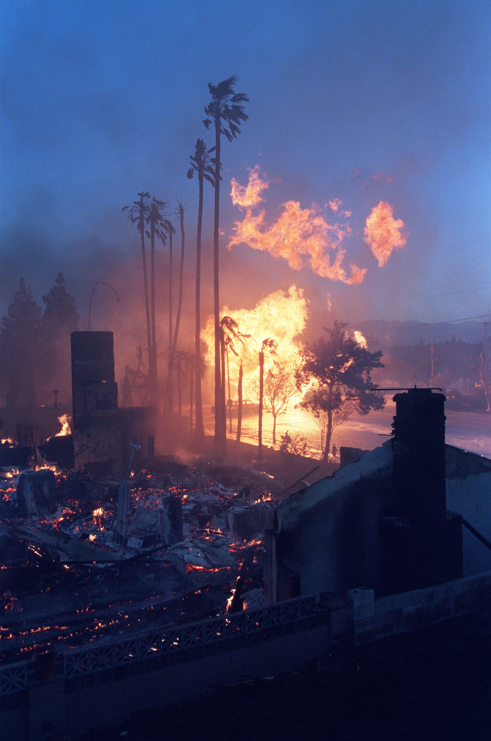 Tall flames engulf palm trees and structures in a residential neighborhood, with heavy smoke rising into the sky and debris scattered on the ground during an intense fire.