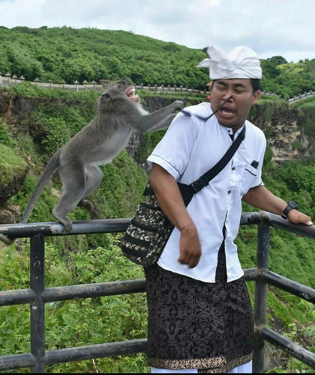 A monkey lunges at a man wearing traditional clothing, grabbing his shoulder as he flinches back in surprise on a scenic overlook with green hills in the background.