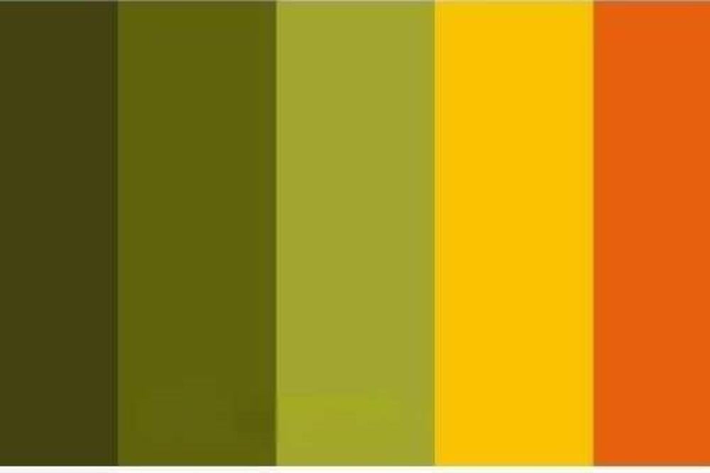 Five vertical color stripes: dark olive green, olive green, light olive green, yellow, and orange, arranged left to right.
