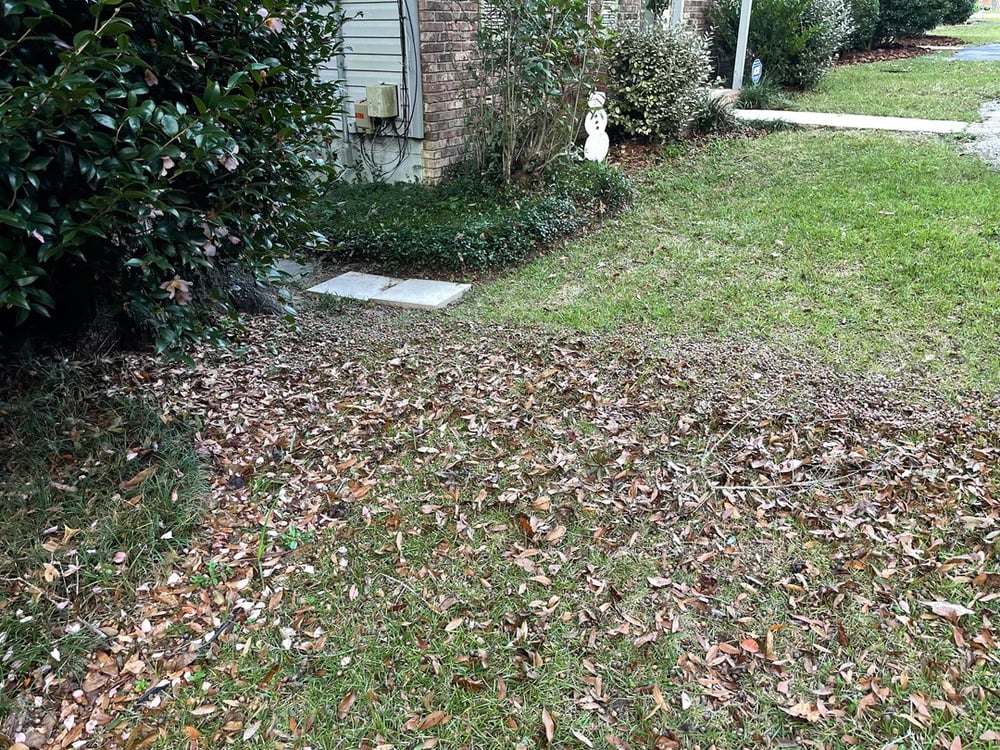 A grassy yard with scattered brown leaves, a brick house on the left, bushes by the wall, and a snowman decoration near the center background by a walkway and driveway.