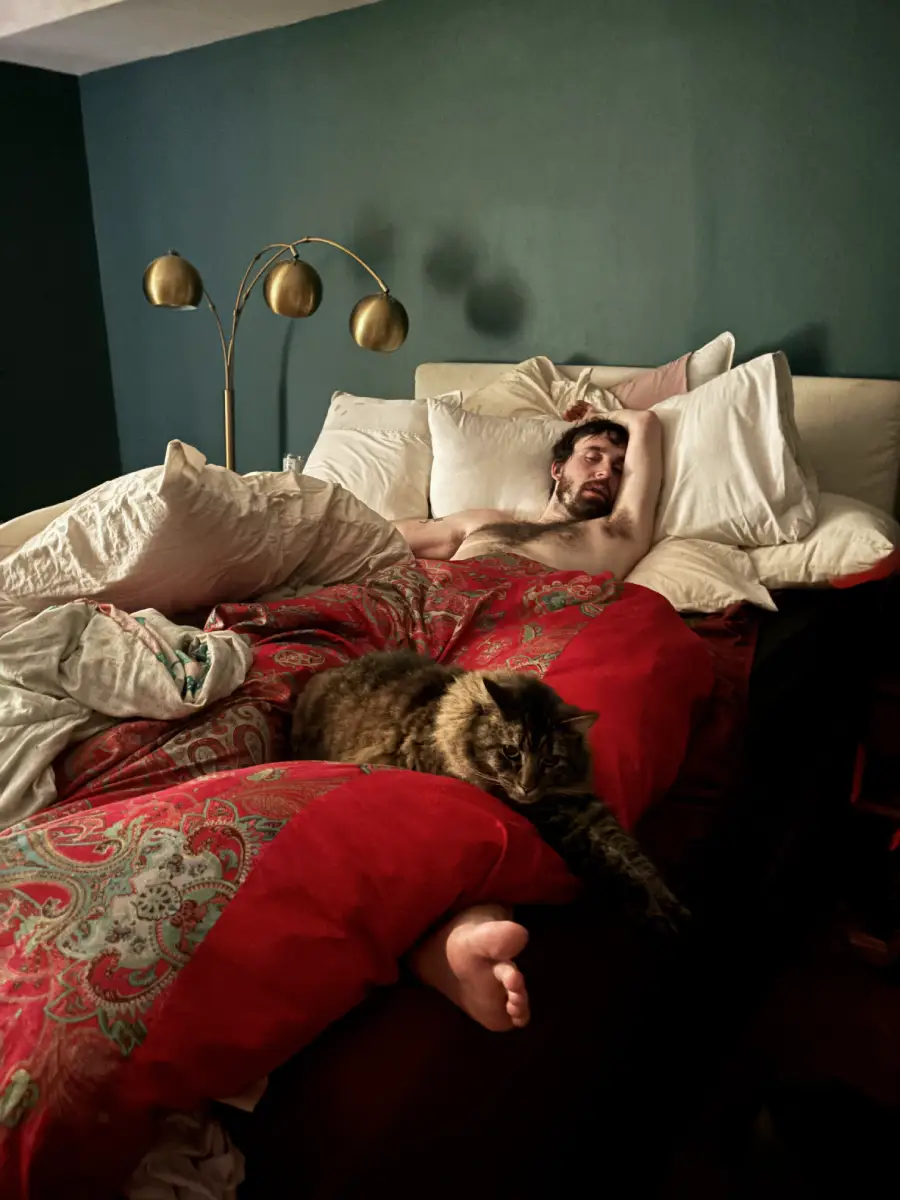 A man sleeps in a bed with red and white bedding, surrounded by pillows, while a cat lies at his feet. A gold lamp stands next to the bed against a dark green wall.