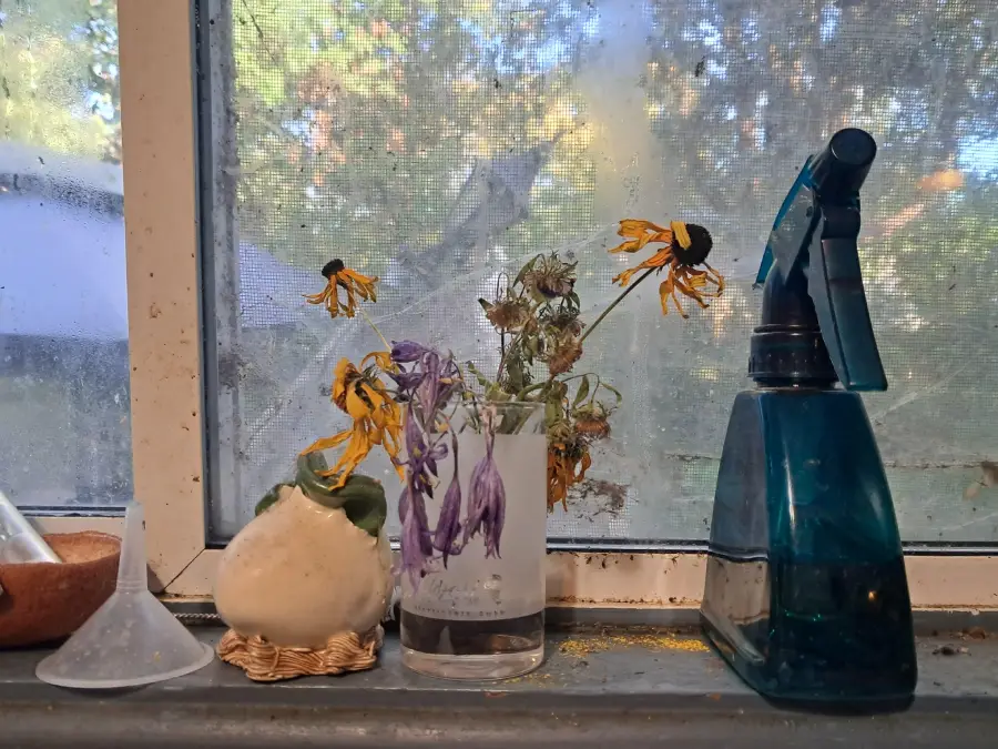 A vase with wilted flowers sits on a windowsill beside a blue spray bottle, a white object, a funnel, and a wooden bowl. The window is smudged, showing blurry outdoor trees.