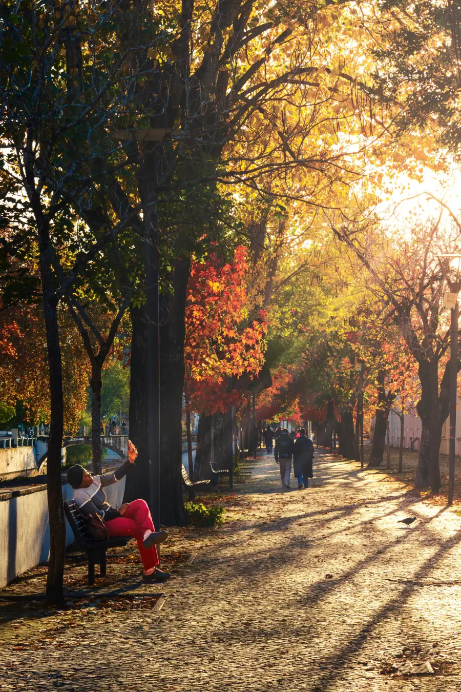 A person sits on a bench under autumn trees as golden sunlight fills a park walkway, where several people are walking in the distance.