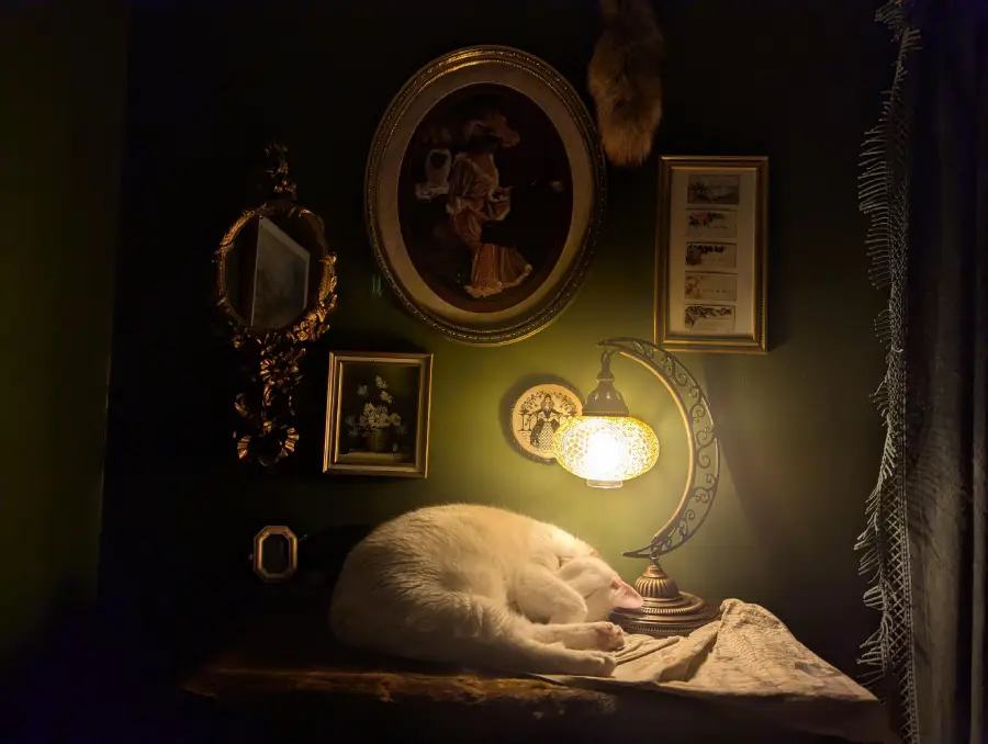 A white cat sleeps curled beside a glowing crescent moon lamp on a wooden table, surrounded by vintage framed art on a dark green wall.