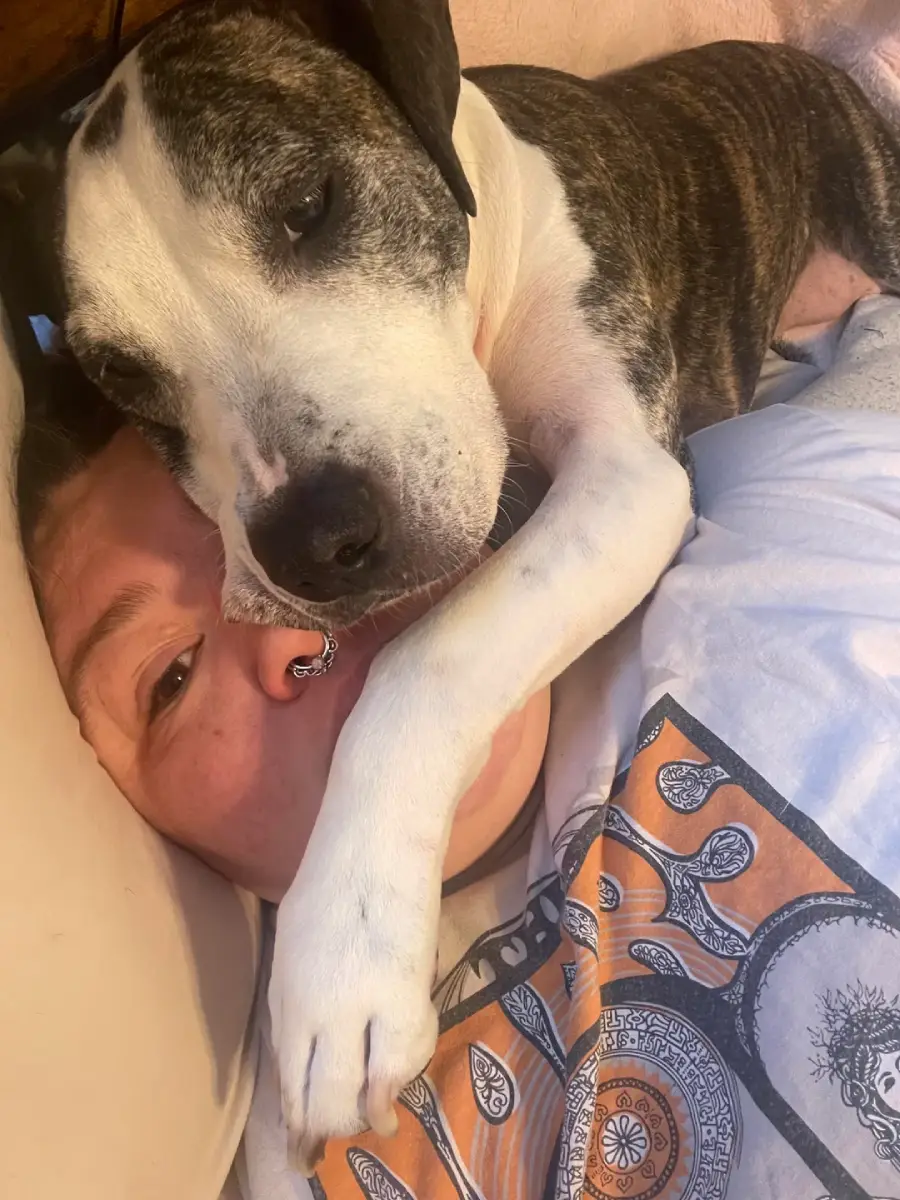 A person lying on a pillow has a dog cuddling closely on top of them, with the dog’s head and paw resting on the person’s face. Both look comfortable and relaxed.