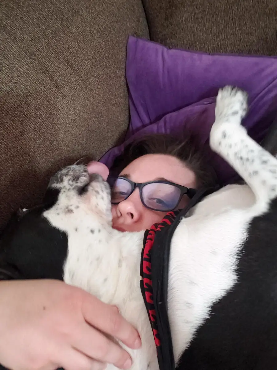 A person wearing glasses lies on a couch with a purple pillow, cuddling closely with a black and white dog that is lying on its back on their chest.