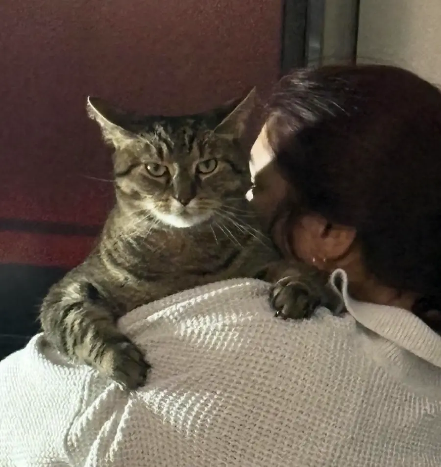 A person with dark hair hugs a brown tabby cat. The cat looks directly at the camera with a serious expression while perched on the person’s shoulder, who is wearing a white textured top.