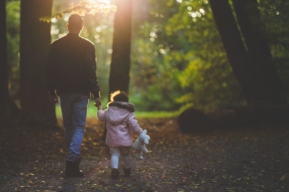 An adult and a child walk hand-in-hand through a sunlit forest path. The child holds a stuffed animal, and both figures are seen from behind, surrounded by tall trees and soft, warm light.