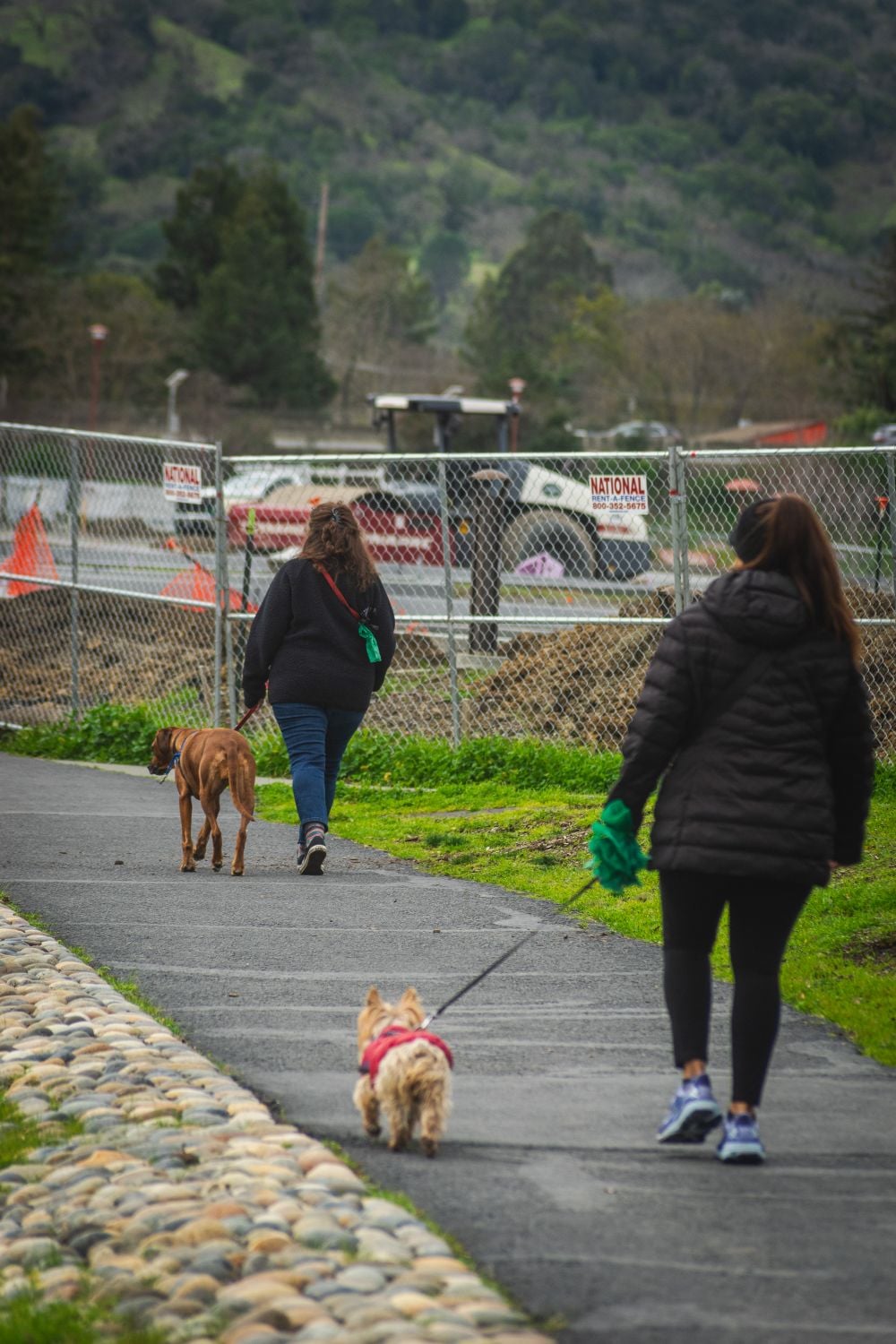 Two women walk dogs on a paved path near a construction area, with fencing and signs in the background. The scene is outdoors with greenery and hills visible beyond the fence.