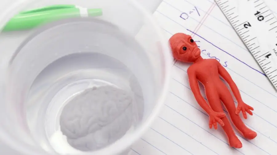 A small red toy alien, a plastic brain in a cup of water, a green pen cap, a ruler, and lined paper with handwritten notes are arranged on a surface.